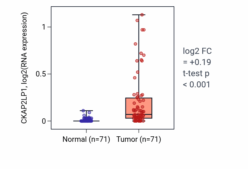 Tumor-vs-normal expression box plot for CKAP2LP1 in KIRC.