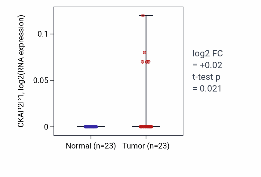 Tumor-vs-normal expression box plot for CKAP2P1 in LUAD.