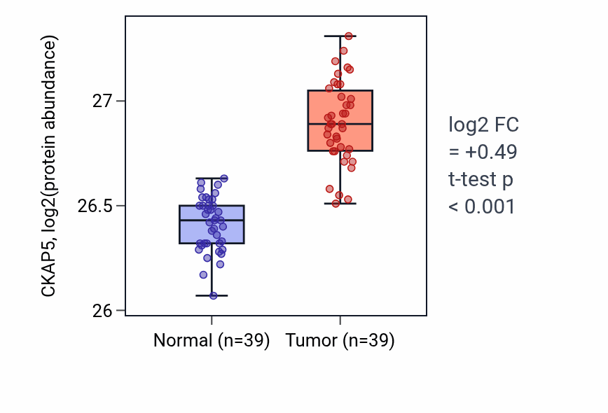 Tumor-vs-normal mass-spec protein box plot for CKAP5 in HNSC.