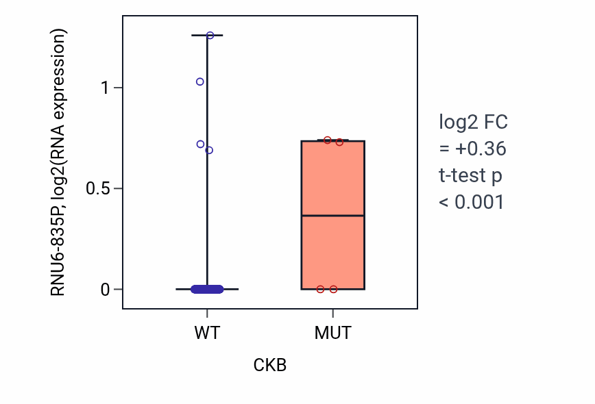 Box plot of RNU6-835P in CKB-low vs CKB-high samples in COAD.