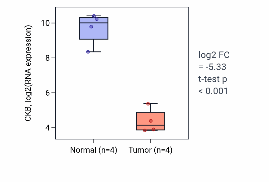 Tumor-vs-normal expression box plot for CKB RNA in BLCA.