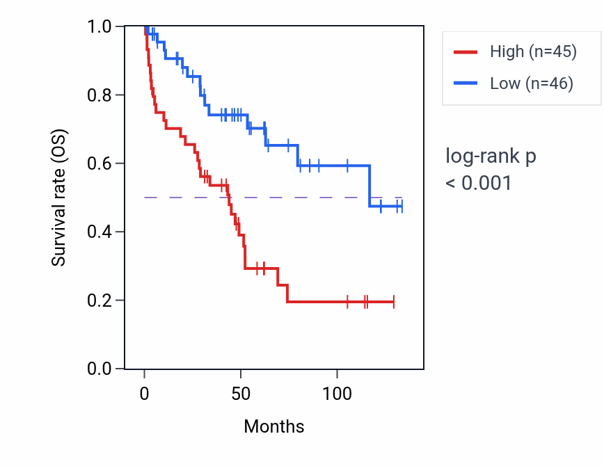 Kaplan&ndash;Meier survival curve for CKM RNA expression in KIRC: high vs low expression groups.