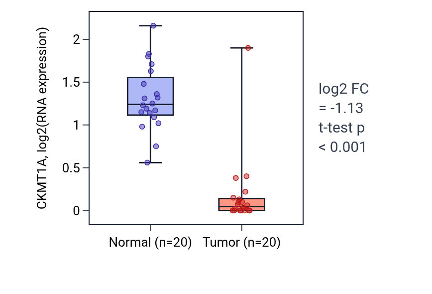 Tumor-vs-normal expression box plot for CKMT1A in KIRC.