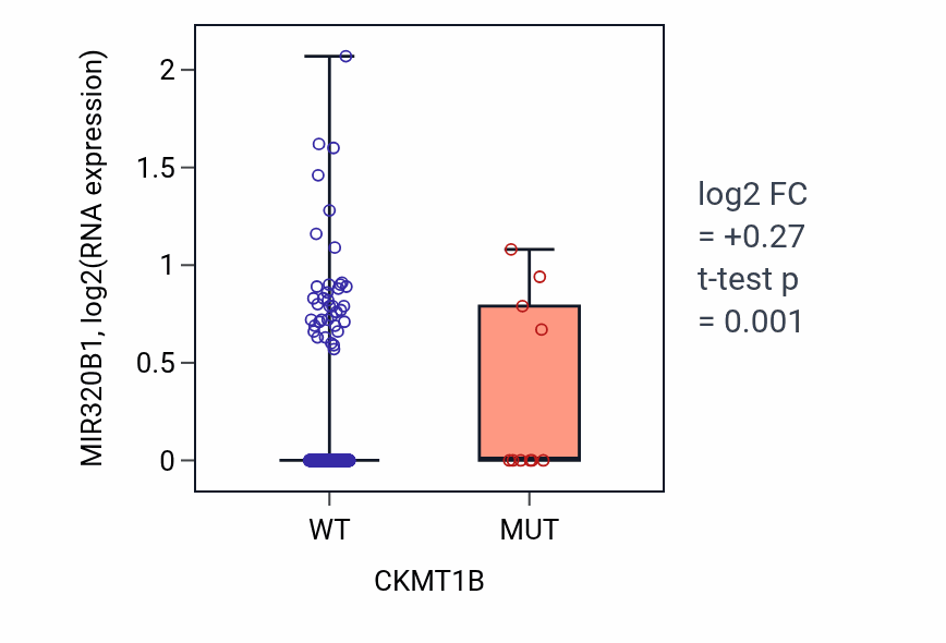 Box plot of MIR320B1 in CKMT1B-low vs CKMT1B-high samples in SKCM.