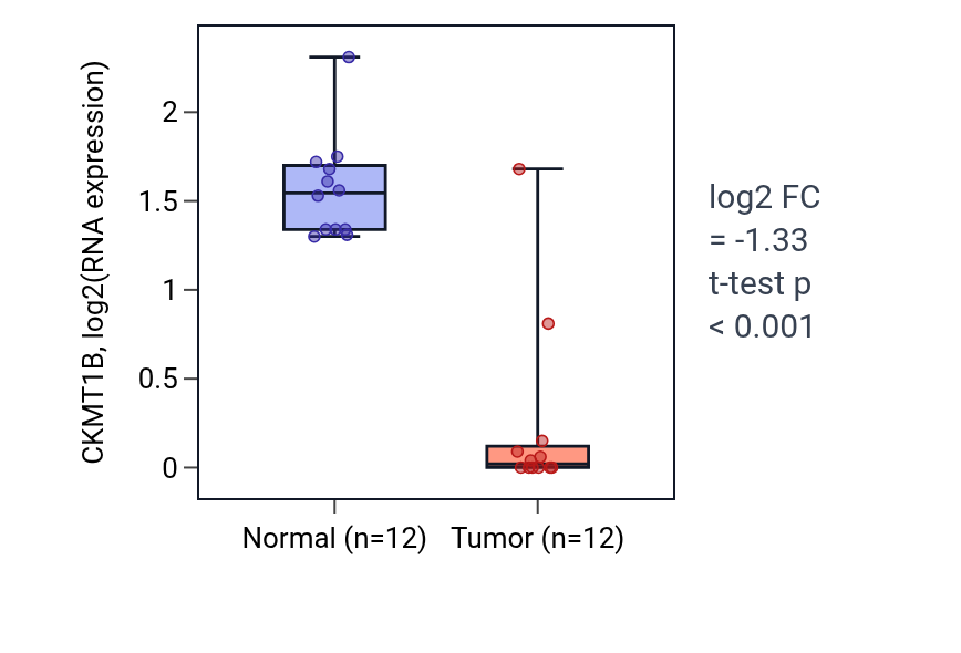 Tumor-vs-normal expression box plot for CKMT1B in KIRC.