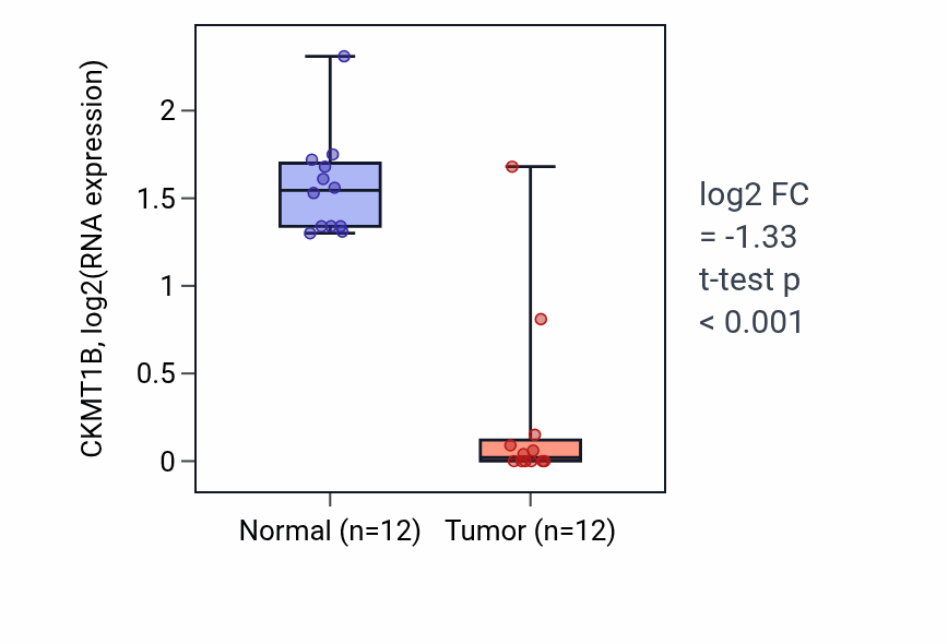Tumor-vs-normal expression box plot for CKMT1B RNA in KIRC.