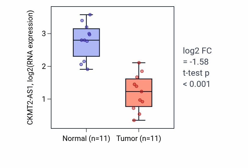 Tumor-vs-normal expression box plot for CKMT2-AS1 in KICH.
