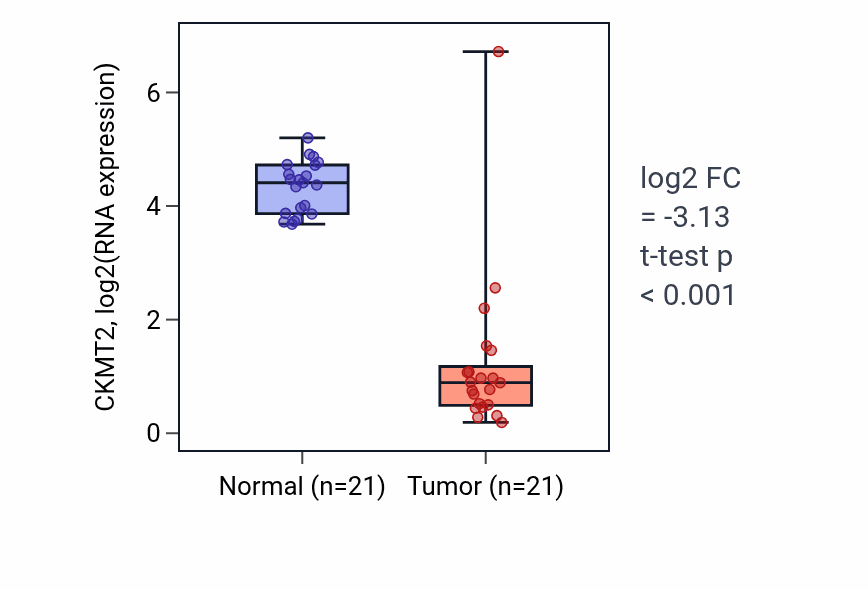 Tumor-vs-normal expression box plot for CKMT2 in KIRP.
