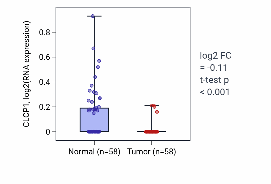 Tumor-vs-normal expression box plot for CLCP1 in THCA.