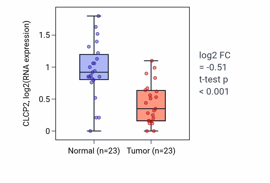 Tumor-vs-normal expression box plot for CLCP2 in THCA.