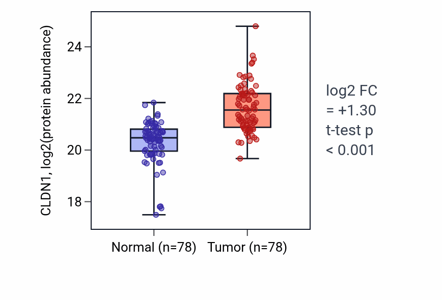 Tumor-vs-normal mass-spec protein box plot for CLDN1 in LSCC.