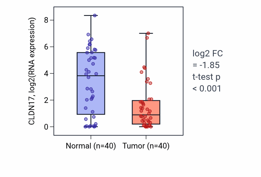 Tumor-vs-normal expression box plot for CLDN17 in HNSC.