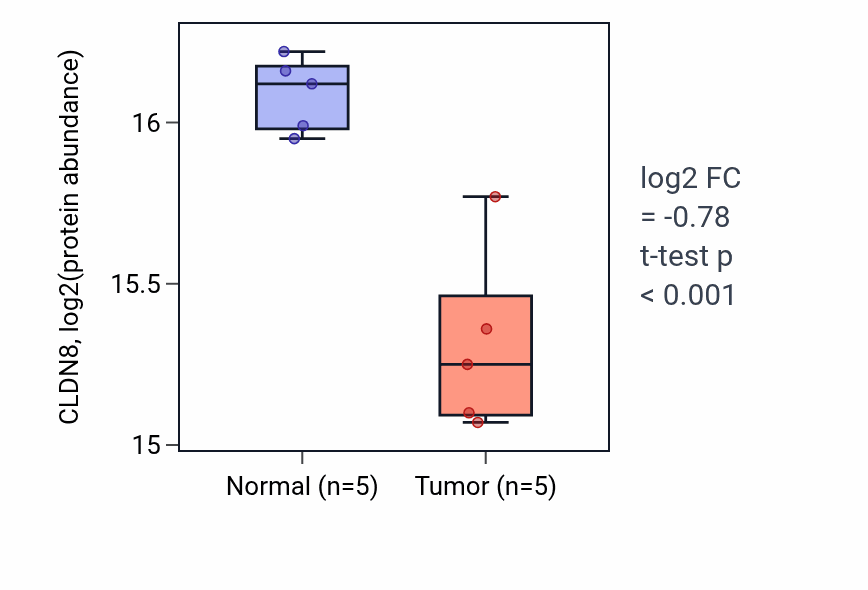Tumor-vs-normal mass-spec protein box plot for CLDN8 in CCRCC.