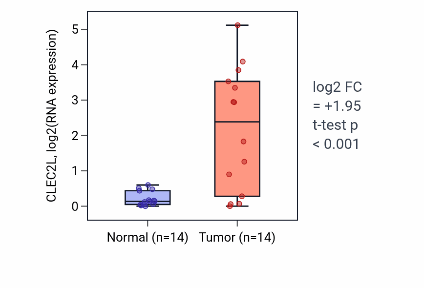 Tumor-vs-normal expression box plot for CLEC2L in LUSC.