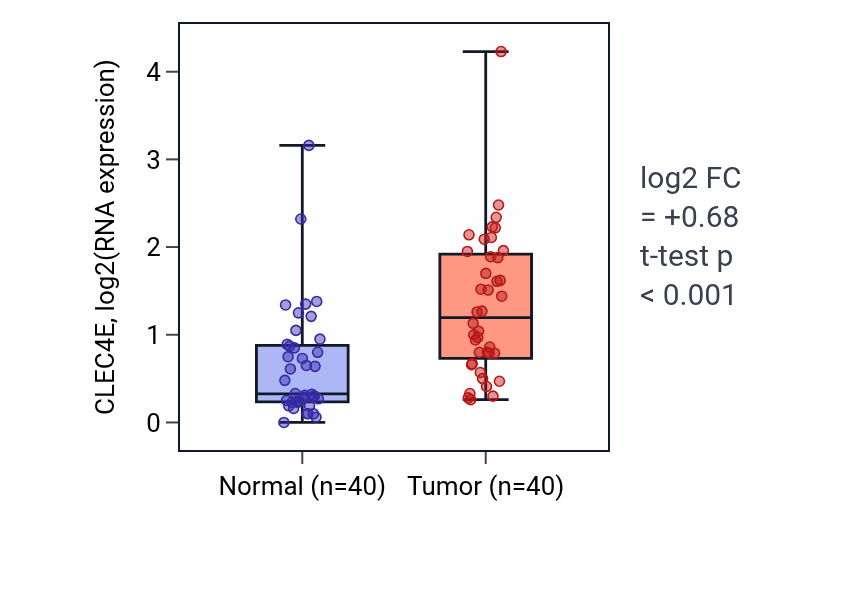 Tumor-vs-normal expression box plot for CLEC4E in HNSC.
