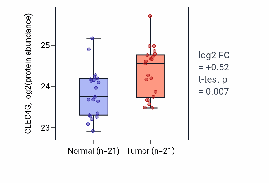 Tumor-vs-normal mass-spec protein box plot for CLEC4G in HNSC.