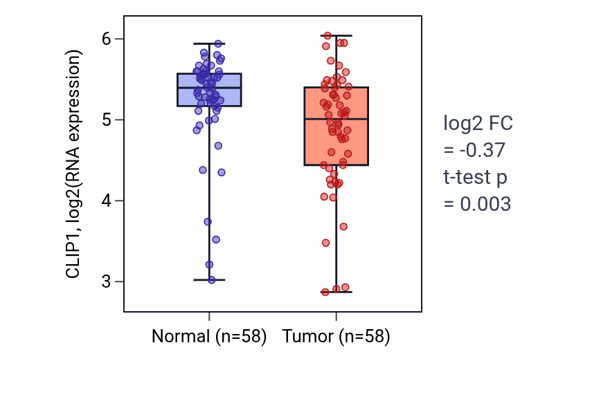 Tumor-vs-normal expression box plot for CLIP1 in THCA.