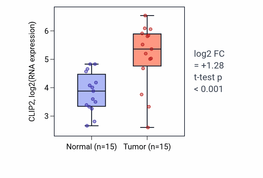 Tumor-vs-normal expression box plot for CLIP2 in KIRP.
