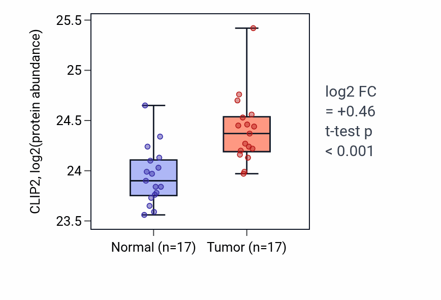 Tumor-vs-normal mass-spec protein box plot for CLIP2 in CCRCC.