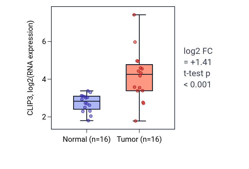 Tumor-vs-normal expression box plot for CLIP3 in THCA.