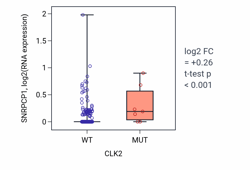 Box plot of SNRPCP1 in CLK2-low vs CLK2-high samples in BLCA.