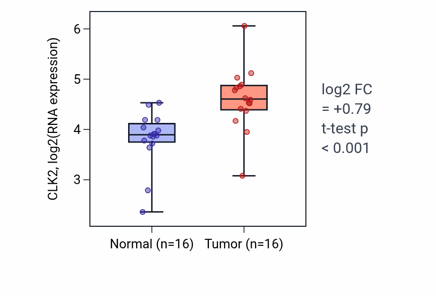 Tumor-vs-normal expression box plot for CLK2 in HNSC.