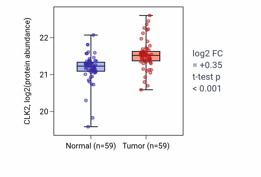 Tumor-vs-normal mass-spec protein box plot for CLK2 in LSCC.