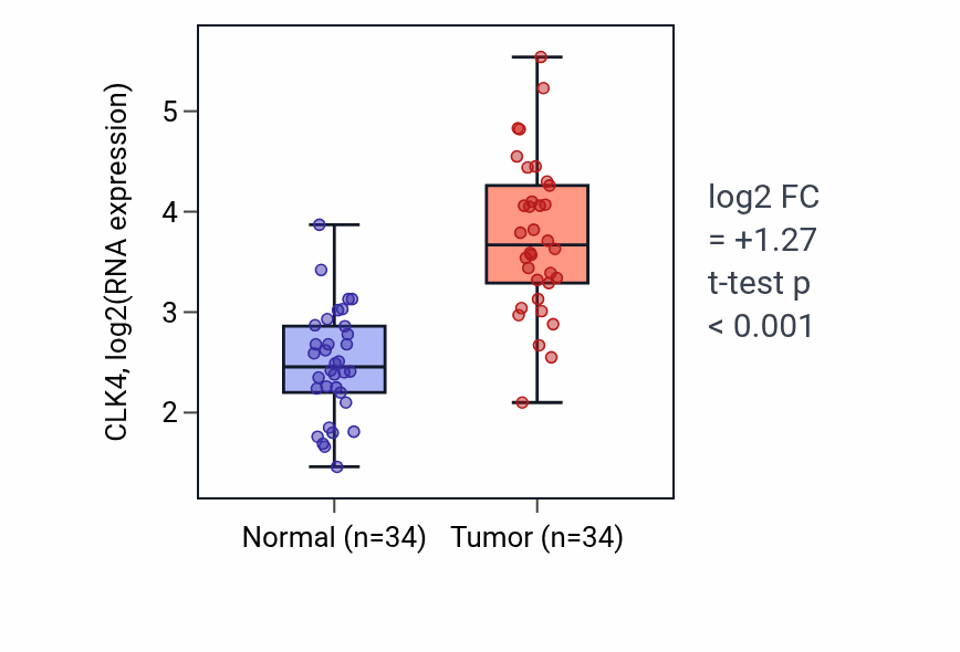 Tumor-vs-normal expression box plot for CLK4 in KIRC.