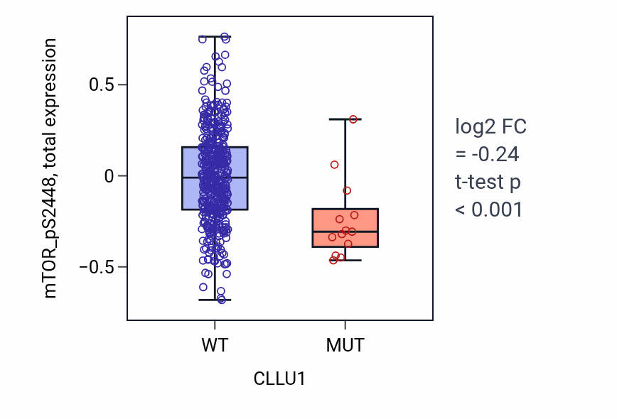 Box plot of mTOR_pS2448 in CLLU1-low vs CLLU1-high samples in UCEC.