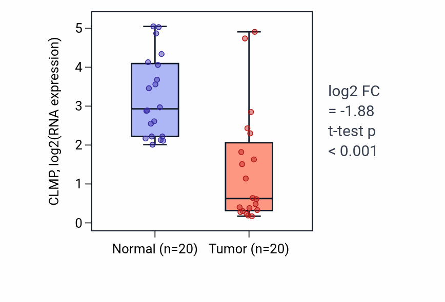 Tumor-vs-normal expression box plot for CLMP in KIRC.