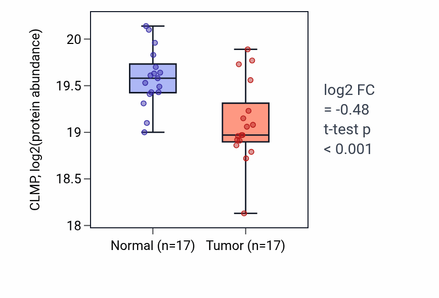 Tumor-vs-normal mass-spec protein box plot for CLMP in COAD.