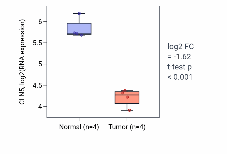 Tumor-vs-normal expression box plot for CLN5 in THCA.