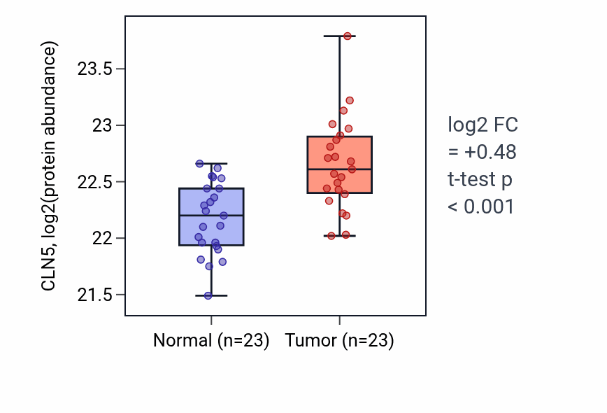 Tumor-vs-normal mass-spec protein box plot for CLN5 in HNSC.