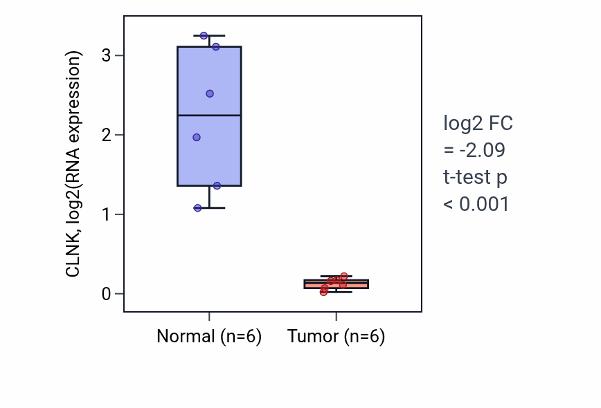 Tumor-vs-normal expression box plot for CLNK in KIRC.