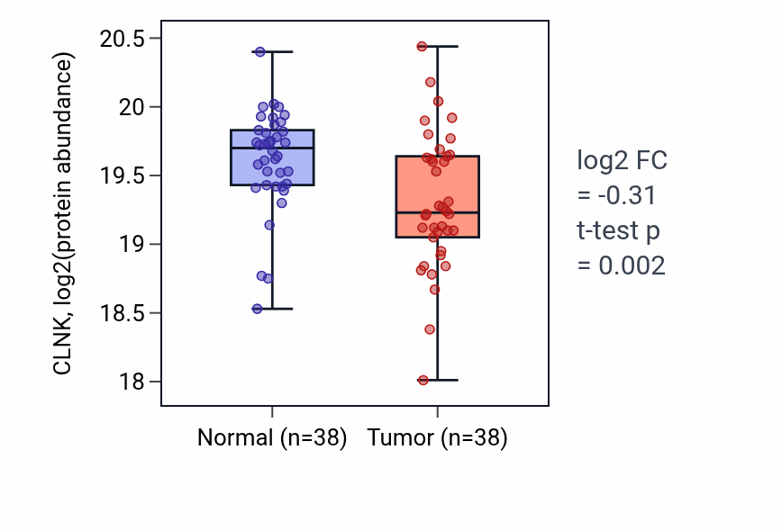 Tumor-vs-normal mass-spec protein box plot for CLNK in CCRCC.
