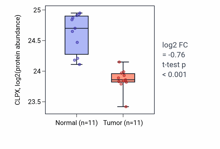 Tumor-vs-normal mass-spec protein box plot for CLPX in CCRCC.
