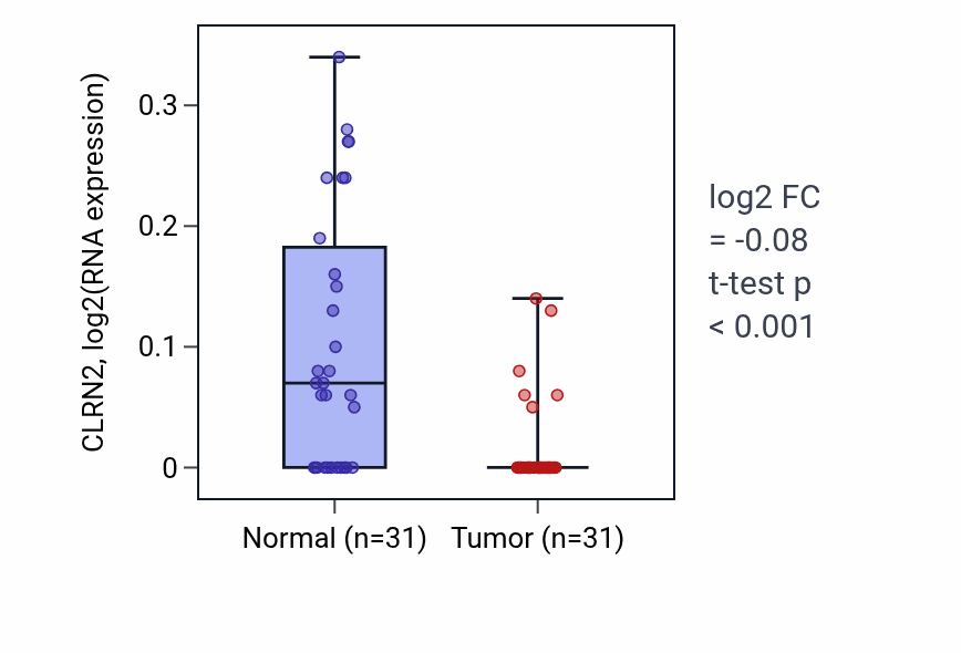 Tumor-vs-normal expression box plot for CLRN2 in KIRP.