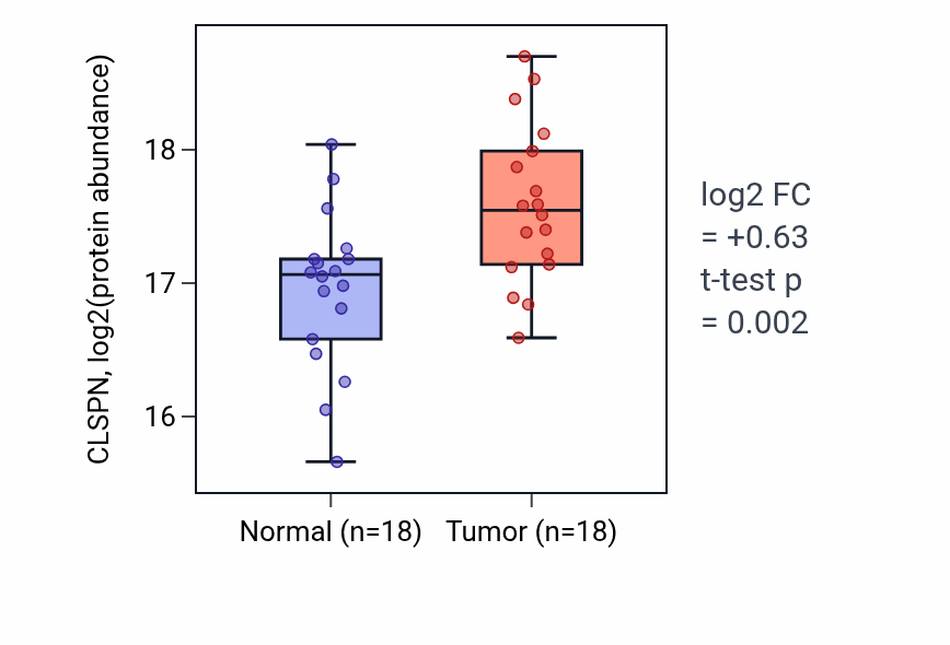 Tumor-vs-normal mass-spec protein box plot for CLSPN in HNSC.