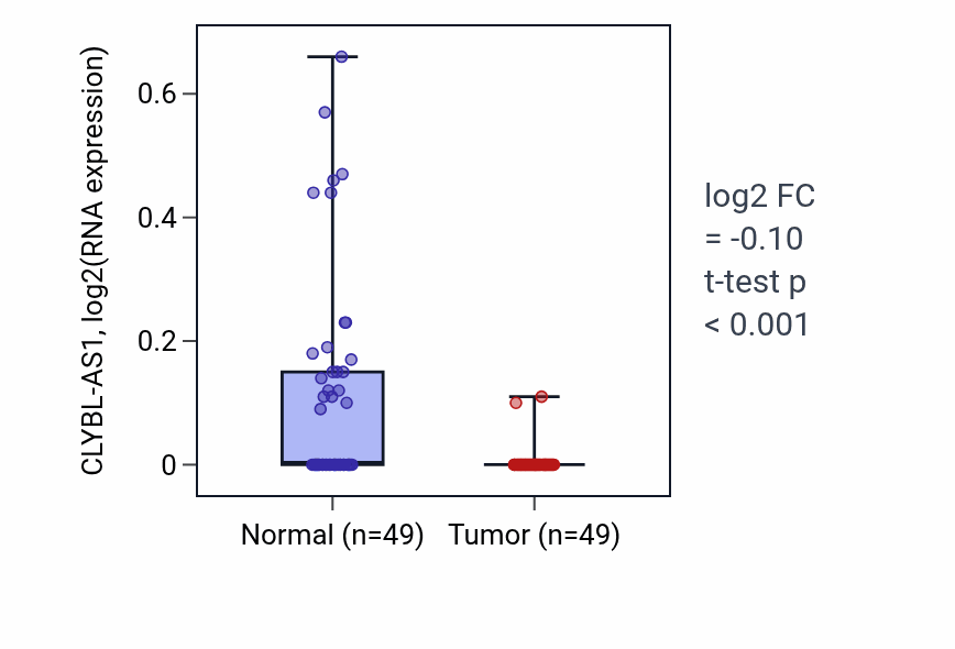 Tumor-vs-normal expression box plot for CLYBL-AS1 in LUSC.