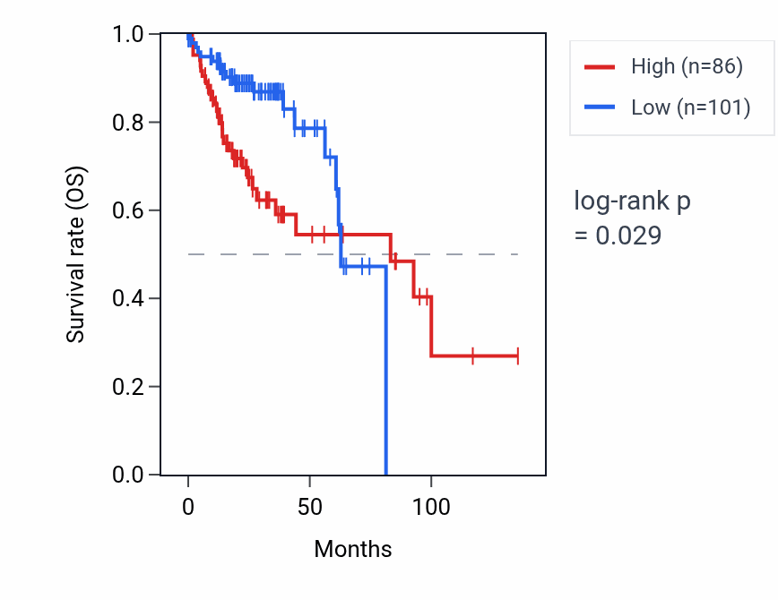 Kaplan&ndash;Meier survival curve for CLYBL-AS2 RNA expression in COAD: high vs low expression groups.