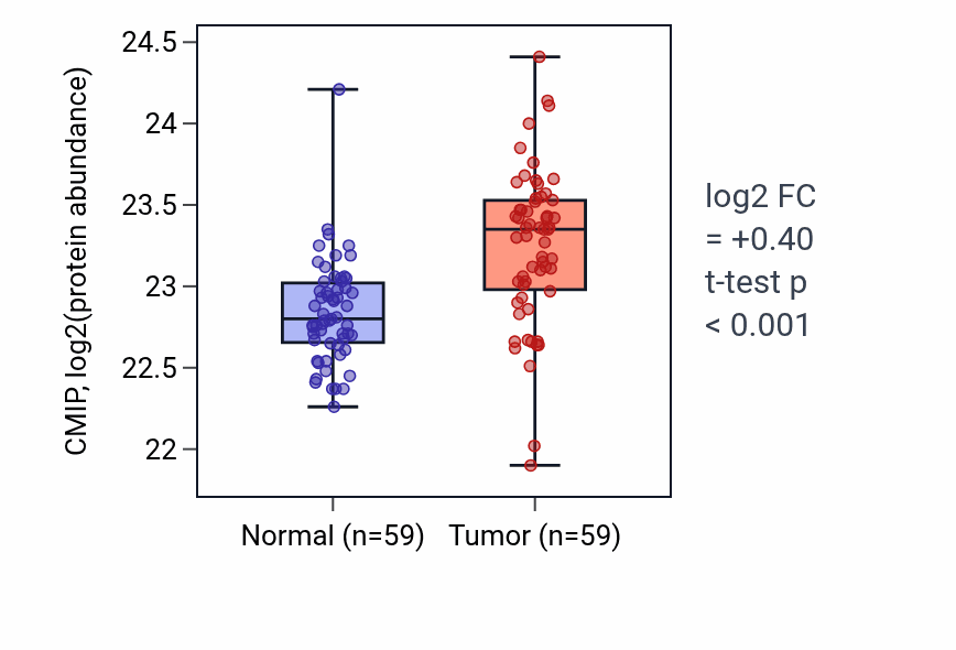 Tumor-vs-normal mass-spec protein box plot for CMIP in HNSC.