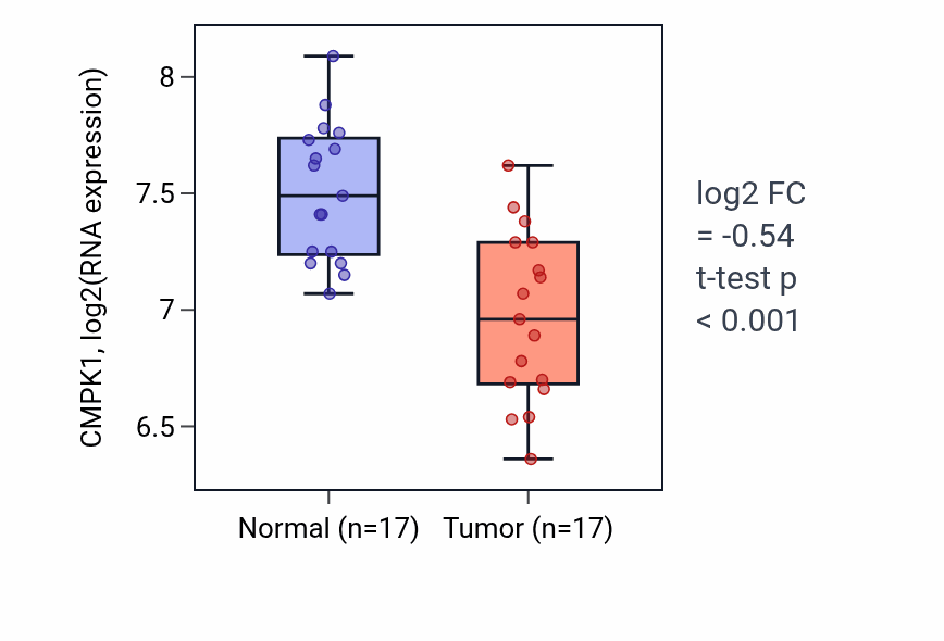 Tumor-vs-normal expression box plot for CMPK1 in THCA.