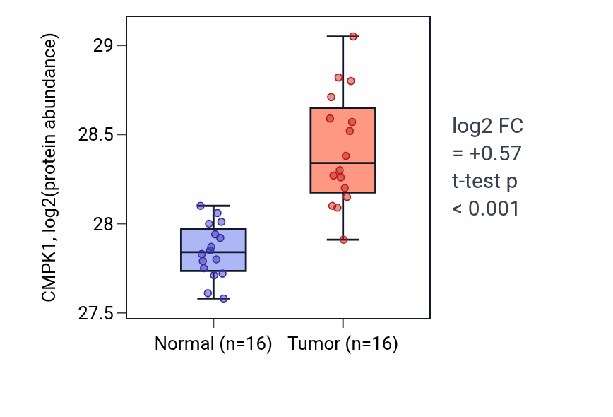 Tumor-vs-normal mass-spec protein box plot for CMPK1 in LUAD.