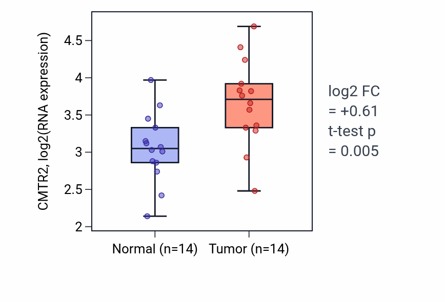 Tumor-vs-normal expression box plot for CMTR2 in BLCA.