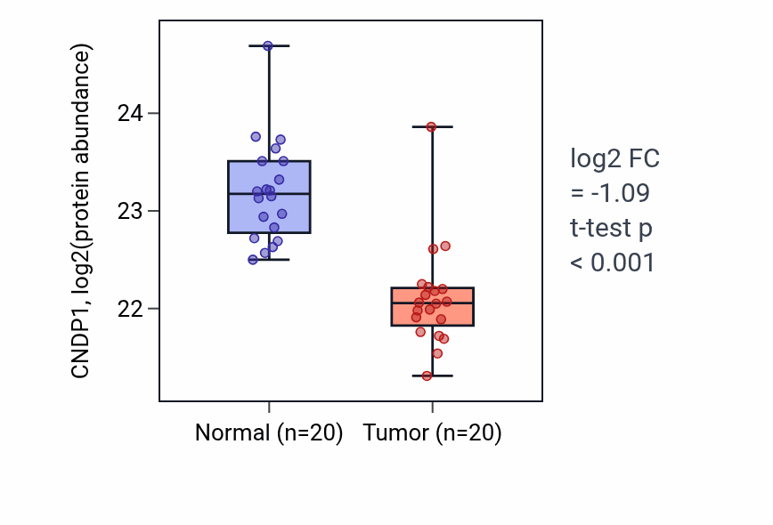 Tumor-vs-normal mass-spec protein box plot for CNDP1 in HNSC.