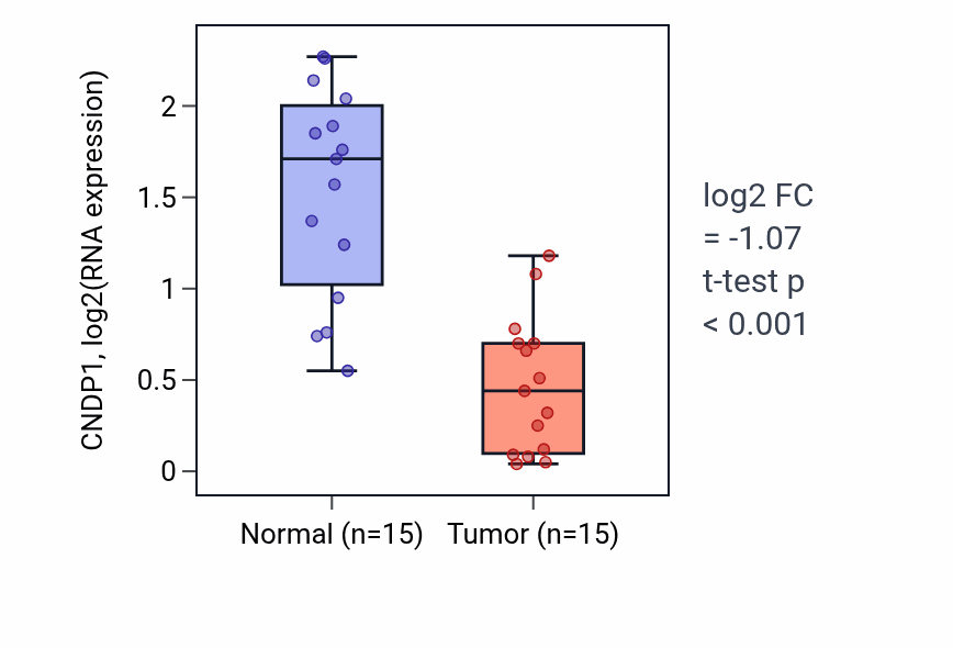 Tumor-vs-normal expression box plot for CNDP1 RNA in KIRP.