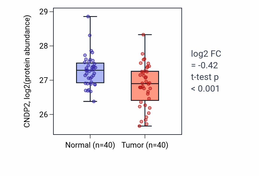 Tumor-vs-normal mass-spec protein box plot for CNDP2 in COAD.