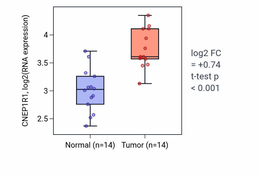 Tumor-vs-normal expression box plot for CNEP1R1 in KIRC.