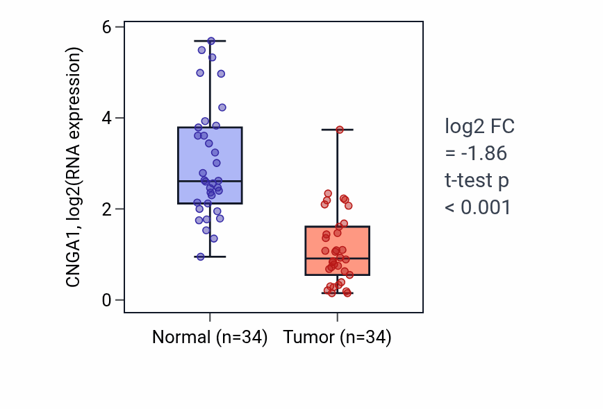 Tumor-vs-normal expression box plot for CNGA1 in KIRC.