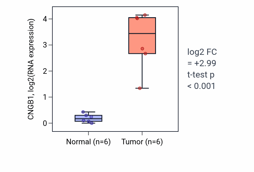 Tumor-vs-normal expression box plot for CNGB1 in HNSC.